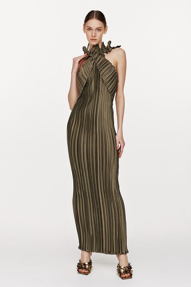 Maxi pleated dress